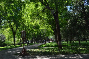 公园风景  