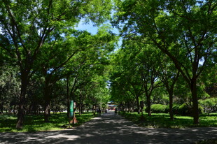 公园风景 