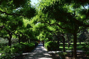 公园风景  