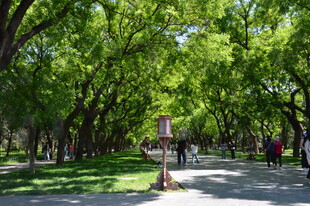 公园风景 