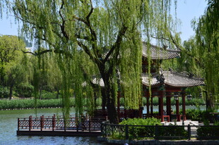 公园风景  