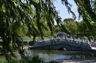公园风景 