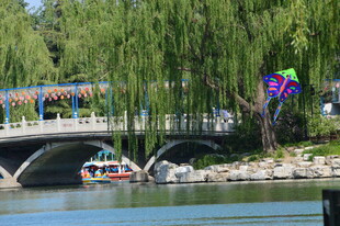 公园风景  