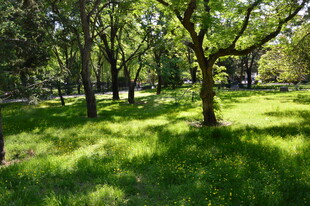 公园风景  