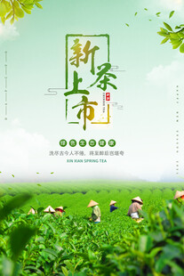 新茶上市