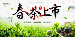  春茶上市