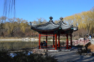 公园风景 
