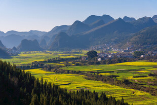春日山间油菜田园美景