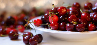 新鲜红樱桃盛于白盘