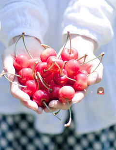 手捧新鲜樱桃的美好画面