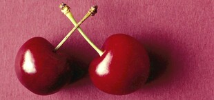 双颗鲜红樱桃特写