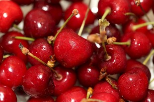 新鲜饱满的红樱桃