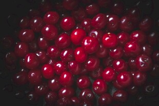 饱满诱人的新鲜红樱桃