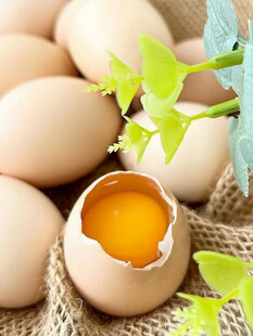 鸡蛋