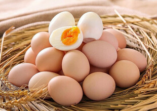 鸡蛋
