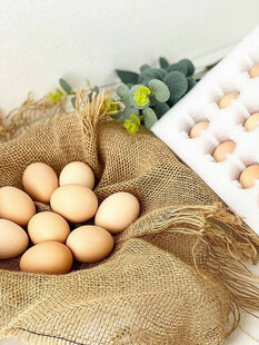 鸡蛋