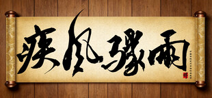 疾风骤雨书法作品展示毛笔字