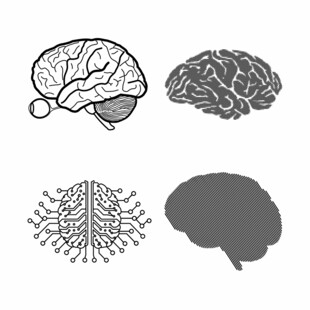 人脑图案