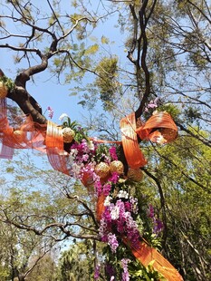 多彩花卉