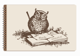 线圈本 猫头鹰素描画
