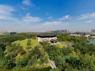 城市中绿意盎然的园林景观