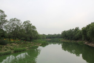 宁静河畔风光