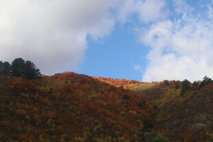 秋日山坡美景