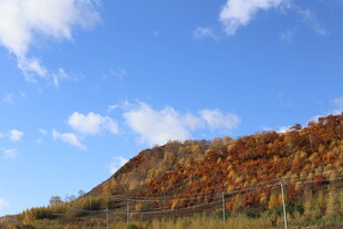 秋日山坡斑斓美景
