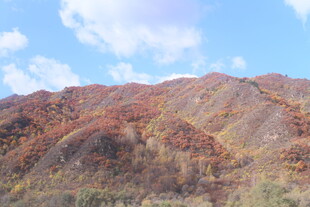 秋日斑斓山峦景色