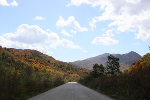 秋日山林间的蜿蜒公路