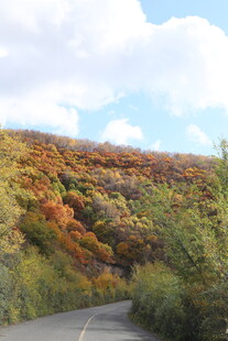 秋日山林蜿蜒公路美景
