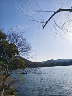 湖畔风光