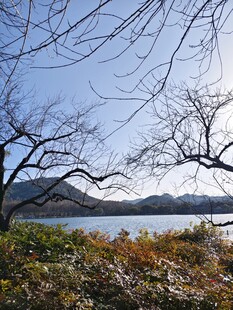 湖畔冬景