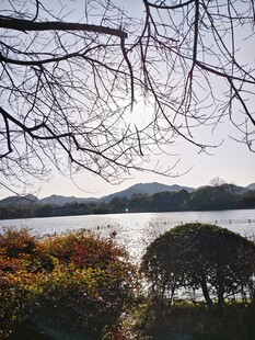 冬日湖畔景致