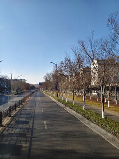 城市道路与绿化