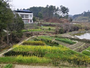 乡村田园风光