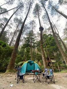 森林露营惬意时光