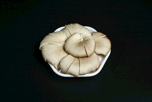 平菇