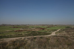 田野间蜿蜒小路景观