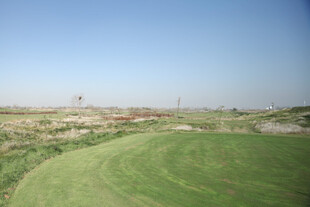 绿意盎然的高尔夫球场