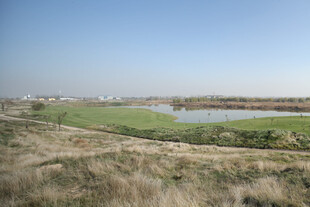 田园风光中的水域与草地