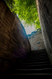 石梯间的绿意与光影