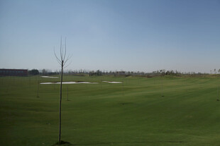 广阔高尔夫球场风景