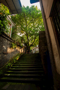 绿荫下的静谧石阶小巷