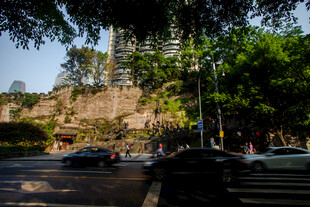 城市道路旁的绿树与建筑