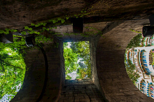 透过石窗望绿意盎然