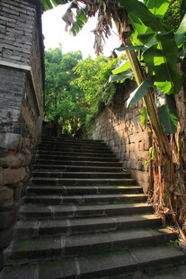 石梯小道 绿植环绕的静谧处