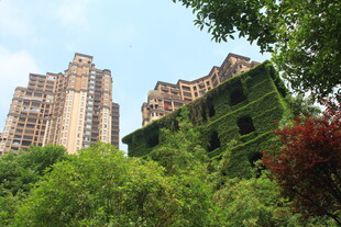 绿植环绕的高层住宅景观