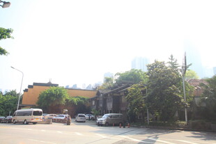 城市街道旁的建筑与车辆