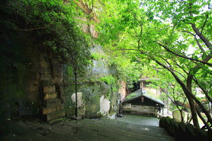 山间隐秘小屋 绿意环绕